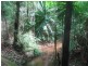460 Black Bean Road, Cow Bay QLD 4873