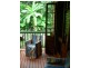 460 Black Bean Road, Cow Bay QLD 4873
