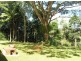 11 Rennie Close, Julatten QLD 4871