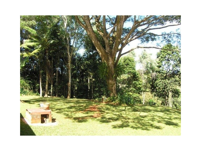 11 Rennie Close, Julatten QLD 4871