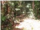 8 Buchanan Creek Road, Cow Bay QLD 4873