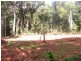 8 Buchanan Creek Road, Cow Bay QLD 4873