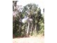 8 Buchanan Creek Road, Cow Bay QLD 4873