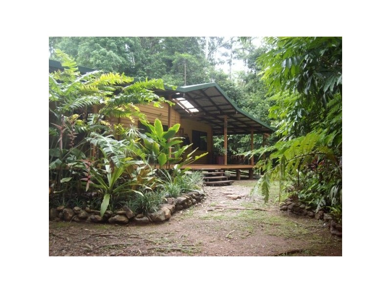 Lot 418 Cape Tribulation Road COW BAY, Daintree QLD 4873