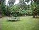 Lot 418 Cape Tribulation Road COW BAY, Daintree QLD 4873