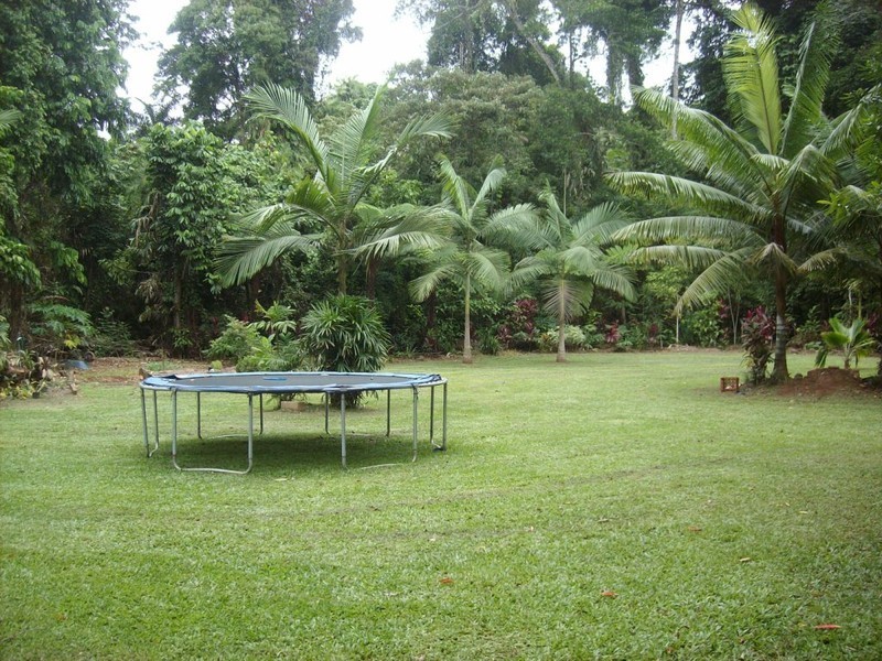 Lot 418 Cape Tribulation Road COW BAY, Daintree QLD 4873