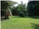 Lot 418 Cape Tribulation Road COW BAY, Daintree QLD 4873