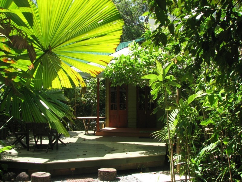 COW BAY 188 Bloodwood, Daintree QLD 4873