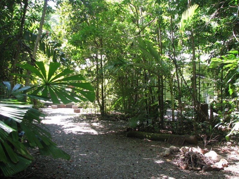COW BAY 188 Bloodwood, Daintree QLD 4873