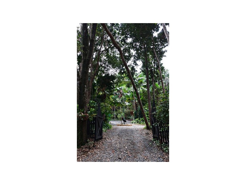 21 Daley Road KIMBERLEY, Daintree QLD 4873