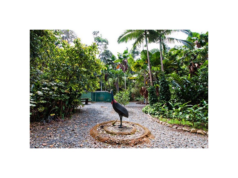 21 Daley Road KIMBERLEY, Daintree QLD 4873
