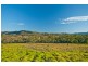 630 Bakers Rd, Mount Molloy QLD 4871
