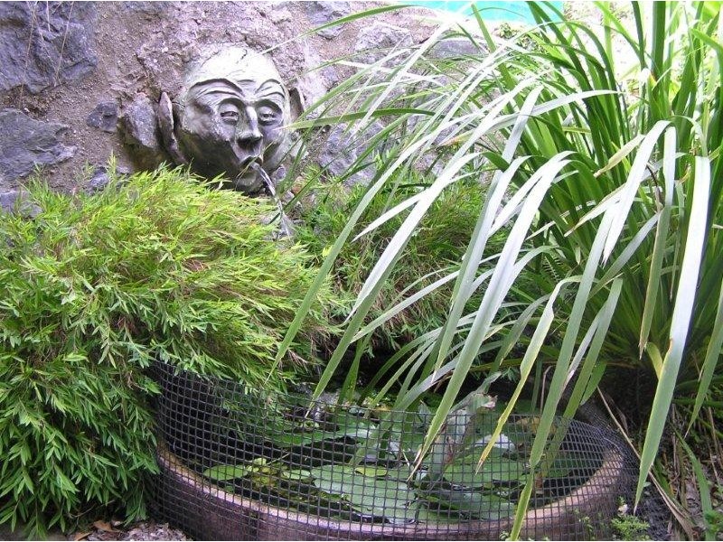 8 Little Street, Mount Molloy QLD 4871