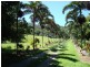 Lot 1 Stewart Creek Road, Daintree QLD 4873