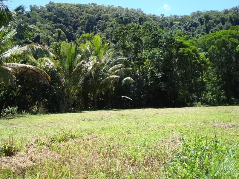Lot 1 Stewart Creek Road, Daintree QLD 4873