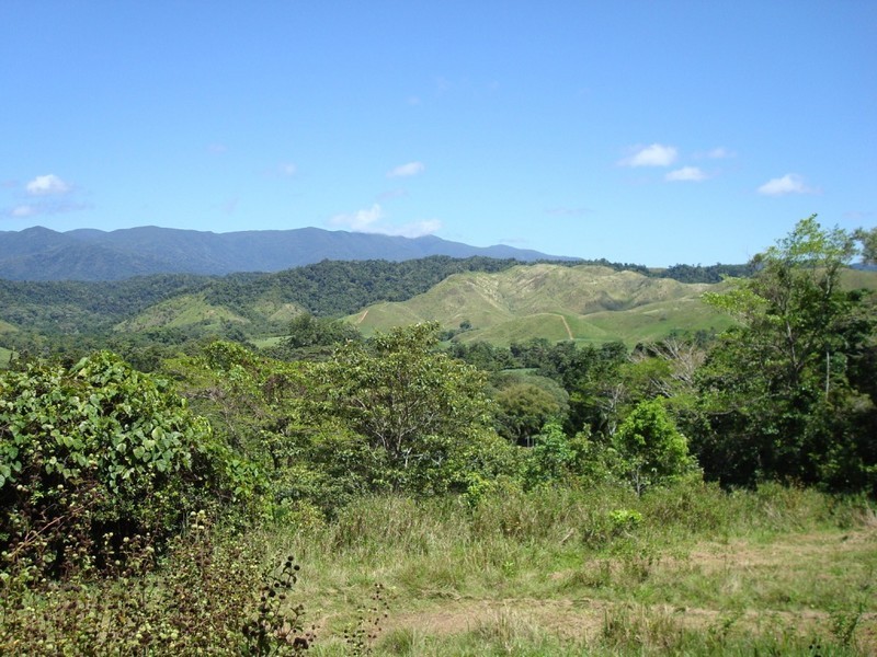 Lot 1 Stewart Creek Road, Daintree QLD 4873
