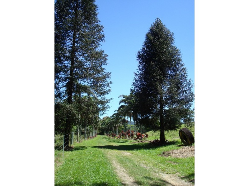 Lot 1 Stewart Creek Road, Daintree QLD 4873