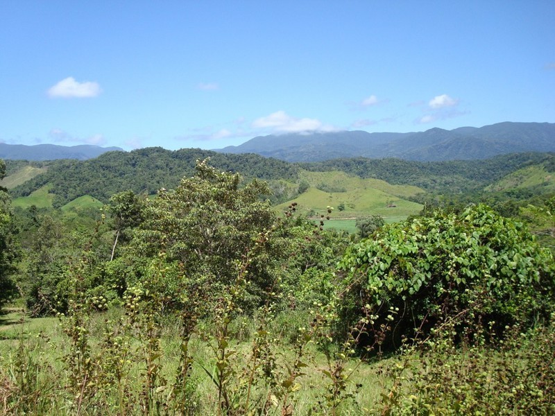 Lot 1 Stewart Creek Road, Daintree QLD 4873