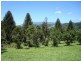 Lot 1 Stewart Creek Road, Daintree QLD 4873