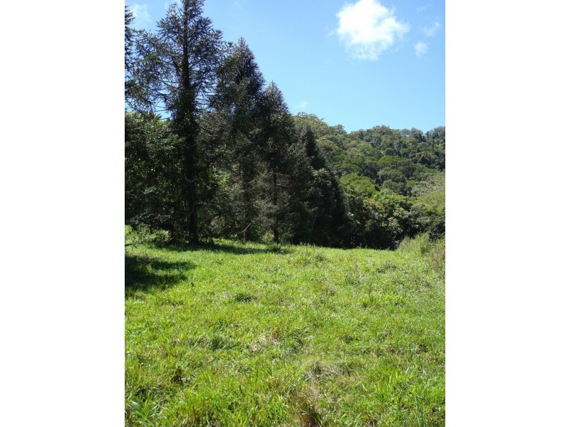 Lot 1 Stewart Creek Road, Daintree QLD 4873