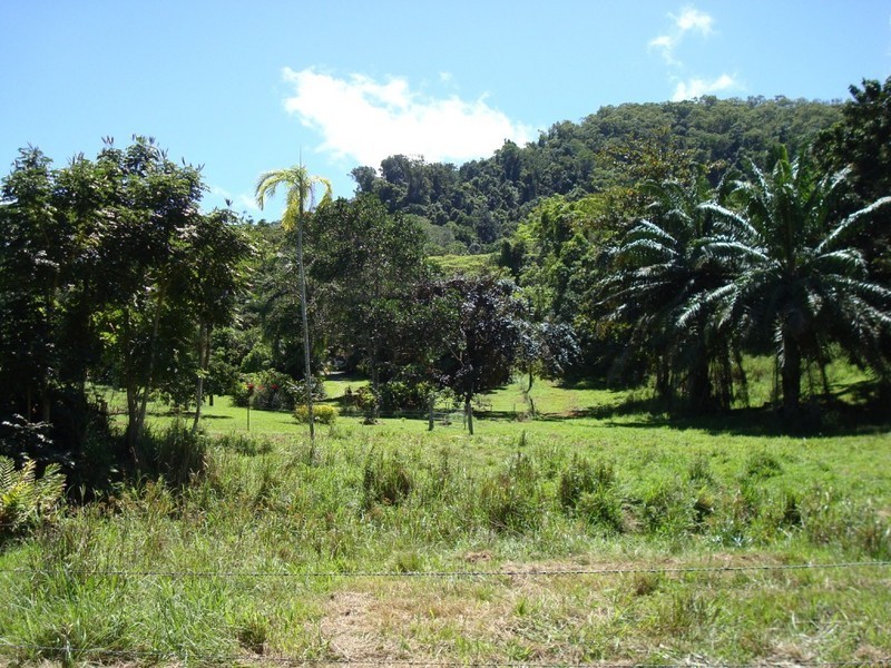 Lot 1 Stewart Creek Road, Daintree QLD 4873
