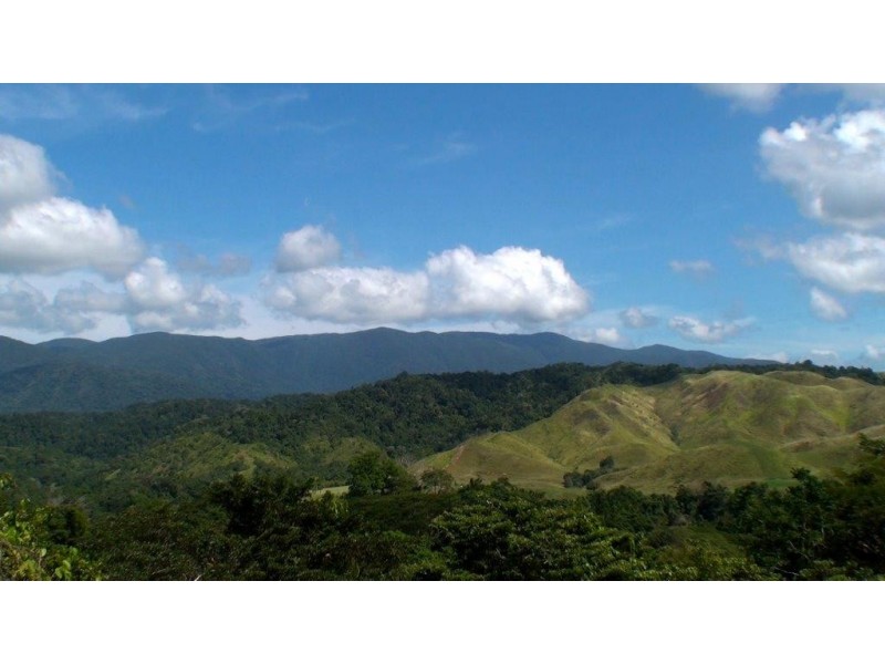 Lot 1 Stewart Creek Road, Daintree QLD 4873