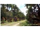 Lot 1 Stewart Creek Road, Daintree QLD 4873