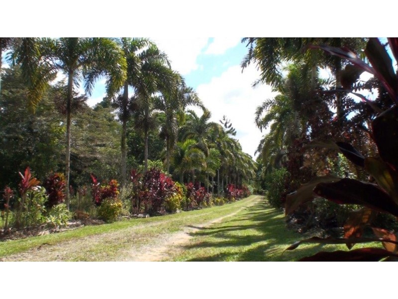 Lot 1 Stewart Creek Road, Daintree QLD 4873