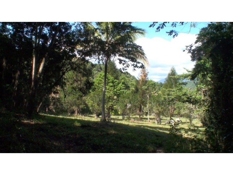 Lot 1 Stewart Creek Road, Daintree QLD 4873