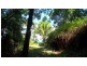 Lot 1 Stewart Creek Road, Daintree QLD 4873