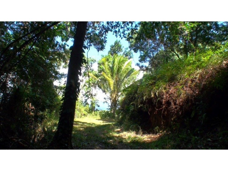 Lot 1 Stewart Creek Road, Daintree QLD 4873