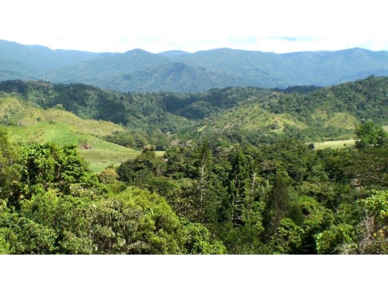 Lot 1 Stewart Creek Road, Daintree QLD 4873