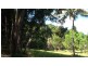Lot 1 Stewart Creek Road, Daintree QLD 4873