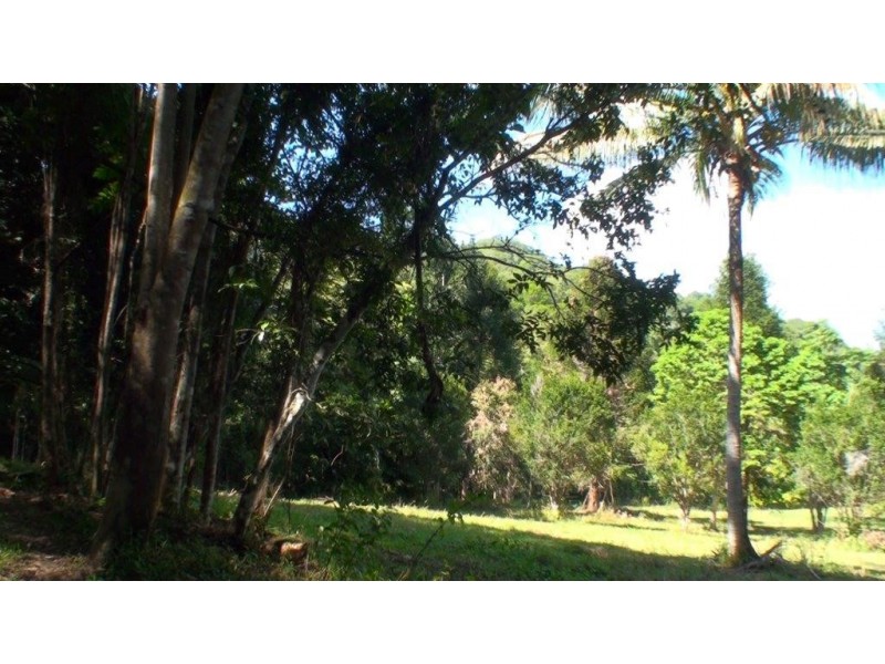 Lot 1 Stewart Creek Road, Daintree QLD 4873