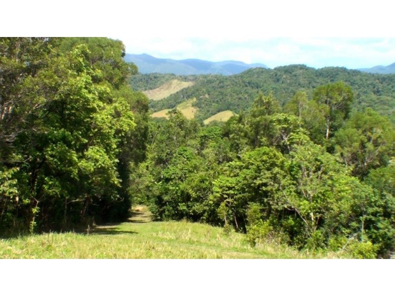 Lot 1 Stewart Creek Road, Daintree QLD 4873