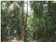 Lot 13 Forest Creek Road  FOREST CREEK, Daintree QLD 4873