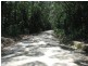 Lot 13 Forest Creek Road  FOREST CREEK, Daintree QLD 4873