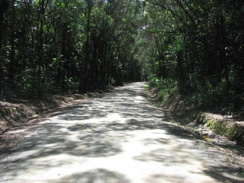 Lot 13 Forest Creek Road  FOREST CREEK, Daintree QLD 4873