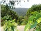74 Spring Creek Road, Mowbray, Port Douglas QLD 4877