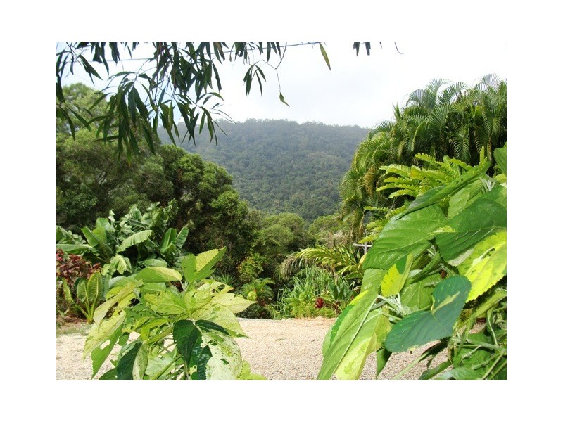 74 Spring Creek Road, Mowbray, Port Douglas QLD 4877