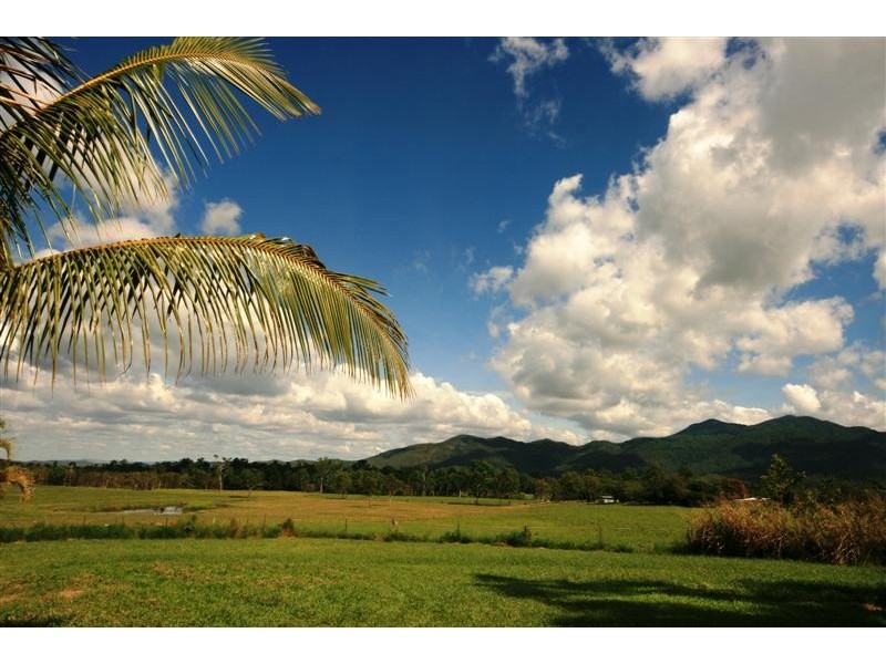 16 Browns Road, Julatten QLD 4871