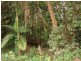 6 White Oak, Mossman QLD 4873