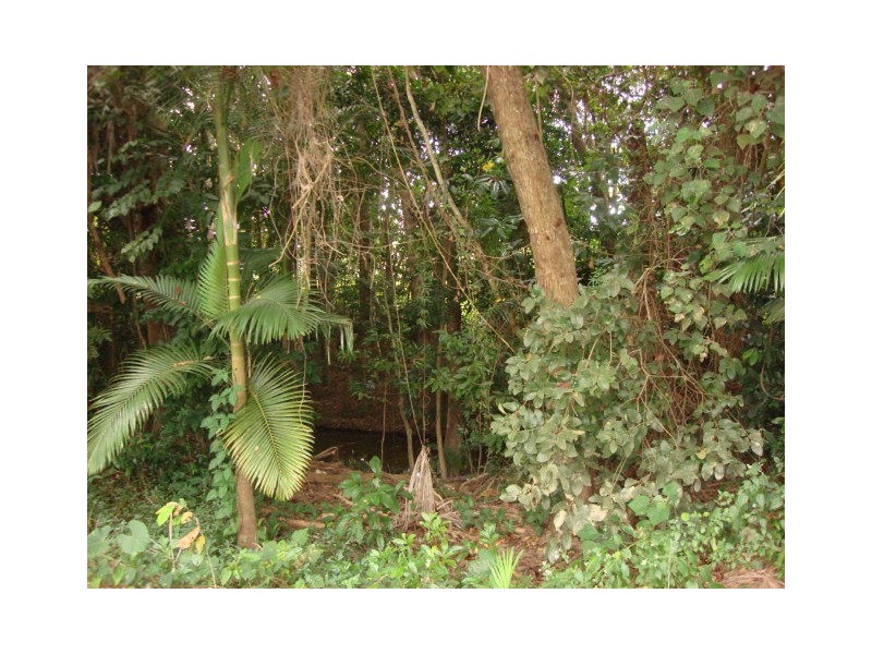 6 White Oak, Mossman QLD 4873