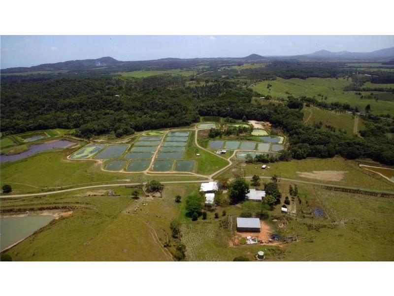 21-32 Mt Perserverance Rd, Julatten QLD 4871