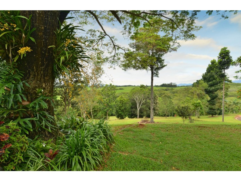 11 Rennie Close, Julatten QLD 4871