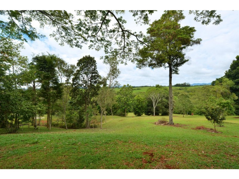 11 Rennie Close, Julatten QLD 4871