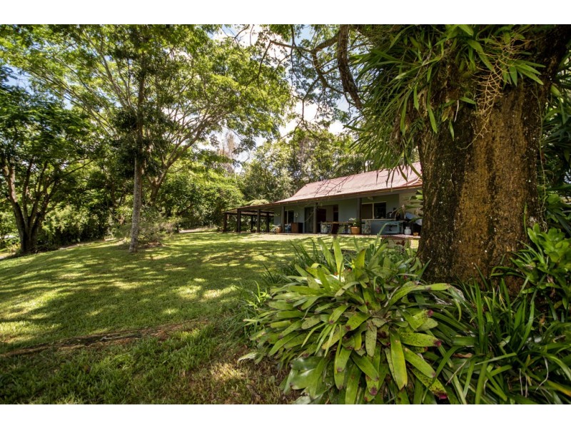 11 Rennie Close, Julatten QLD 4871