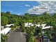 9 Alchera Drive (the White Cockatoo), Mossman QLD 4873