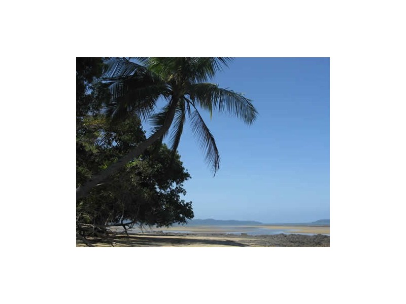 21 Marlin Drive, Wonga QLD 4873