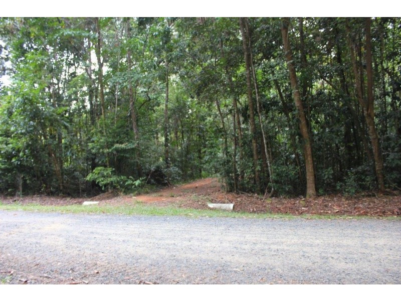 150 Wattle Close COW BAY, Daintree QLD 4873